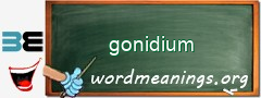 WordMeaning blackboard for gonidium
